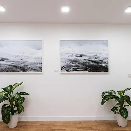 Affittacamere Da Vincè Arte&emozioni