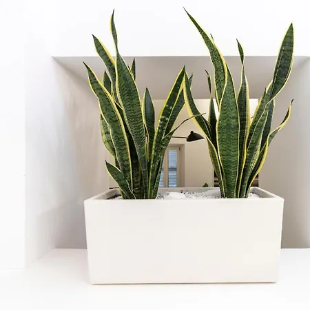 Da Vincè Arte&emozioni Ascoli Piceno