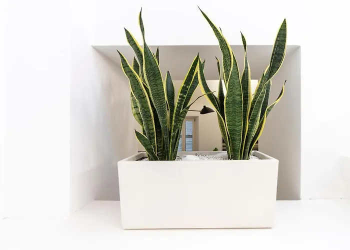 Da Vincè Arte&emozioni Ascoli Piceno