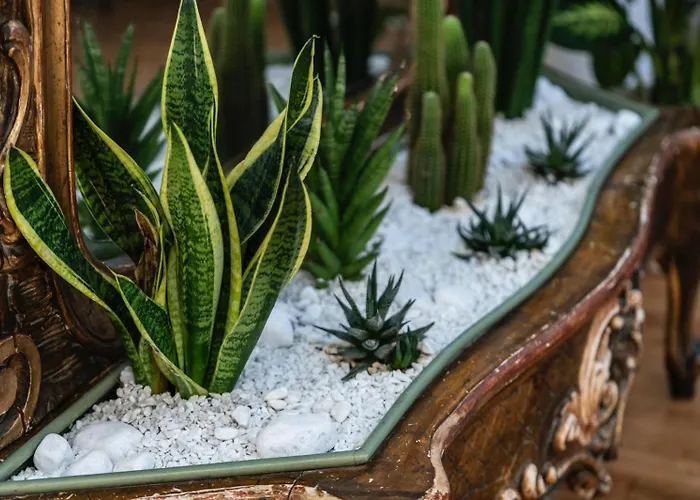 Affittacamere Da Vincè Arte&emozioni Ascoli Piceno